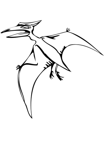 Pteranodon Flying Reptile Coloring Page